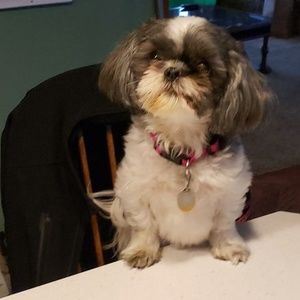 Meet your Posher, Jim